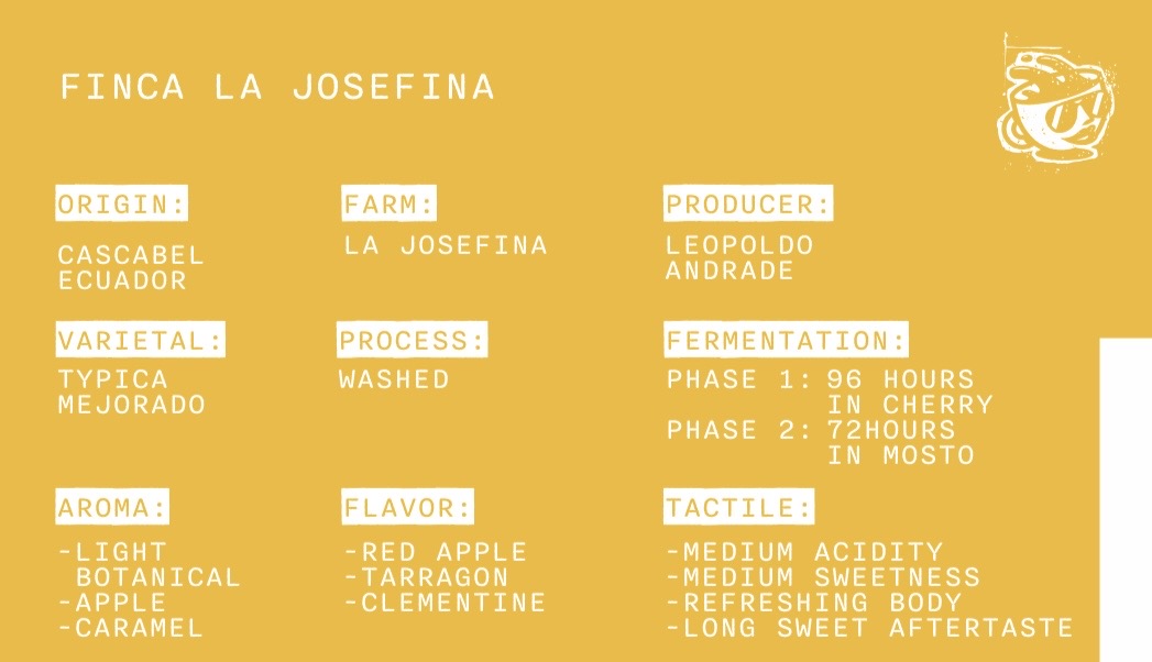 Finca La Josefina - Ecuador - Typica - Washed
