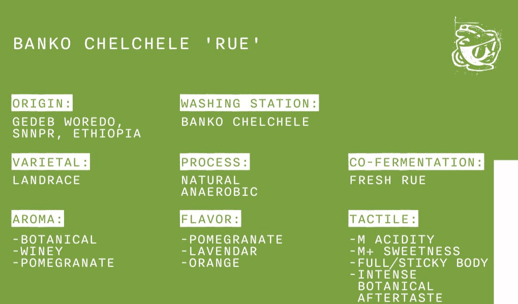 BANKO CHELCHELE 'RUE' - ETHIOPIA - LANDRACE - COFERMENTATION