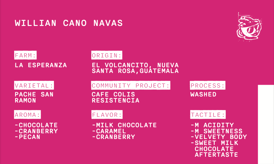 Willian Cano Navas - Guatemala - Pache - Washed