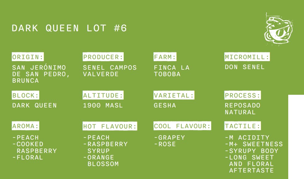 Dark Queen Lot#6 -  Costa Rica - Natural Geisha